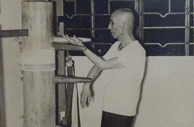 ip man wing chun india